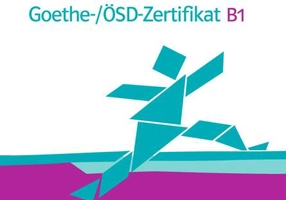 Mit Erfolg zum Goethe-Zertifikat B1, TB+CD
