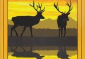 Țara de dincolo de negură