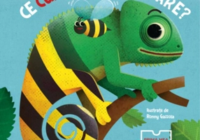 Ce culoare am eu oare?