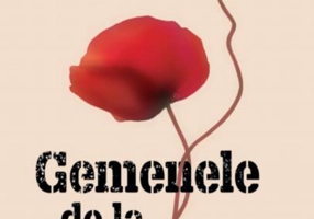 Gemenele de la Auschwitz