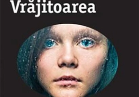 Vrăjitoarea (Vol 10). Seria Fjällbacka