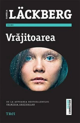 Vrăjitoarea (Vol 10). Seria Fjällbacka
