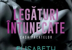 Legături întunecate. Casa Păcatelor (Vol. 3)