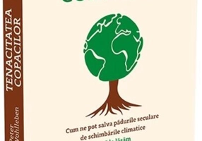 Tenacitatea copacilor