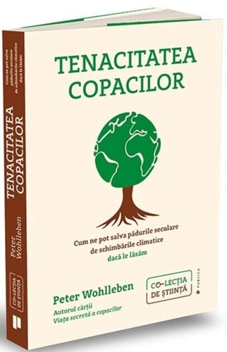 Tenacitatea copacilor