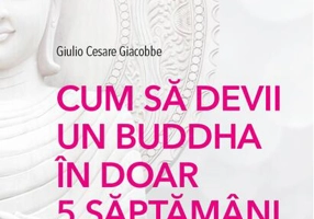 Cum să devii un Buddha în doar 5 săptămâni
