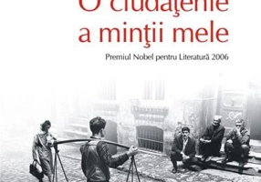 O ciudățenie a minții mele (Top 10+)