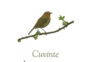 Cuvinte despre viața duhovnicească