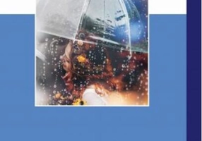 Adevărul gol-goluț