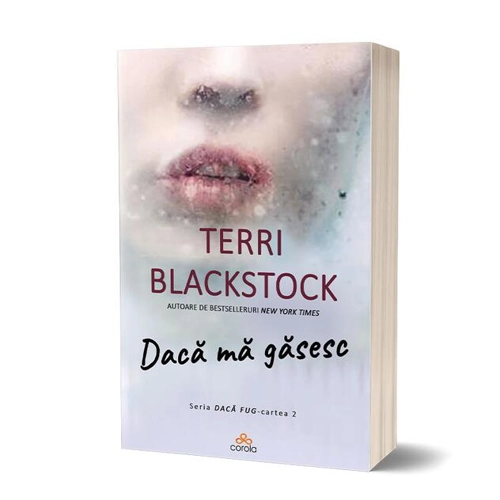 Dacă mă găsesc (Vol. 2)