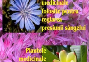 Plantele medicinale folosite pentru reglarea presiunii sângelui