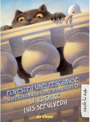 Povestea unei pescărușe și a motanului care a învățat-o să zboare - HC