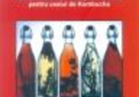 Kombucha. Plante medicinale care pot fi folosite pentru ceaiul de Kombucha