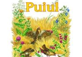 Puiul - I. Al. Bratescu-Voinesti