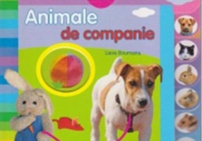 Animale de companie. Am 2 ani