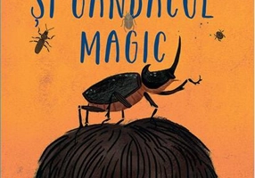 Baiatul și gândacul magic