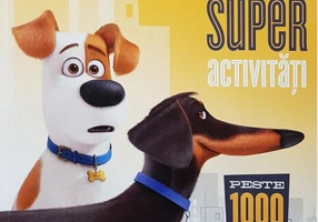 Singuri acasă: superactivități