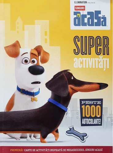 Singuri acasă: superactivități