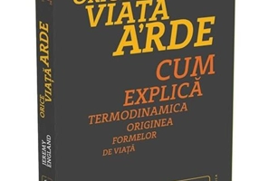 Orice viață arde. Cum explică termodinamica originea formelor de viață