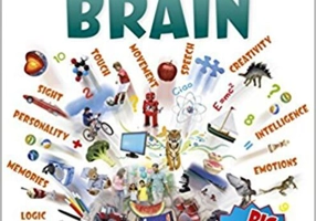 All About Your Brain (Big Questions)