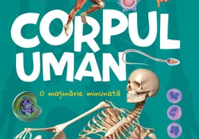 Descoperă - Corpul uman