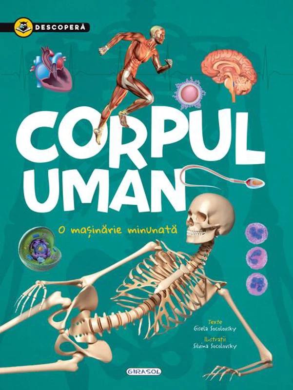 Descoperă - Corpul uman