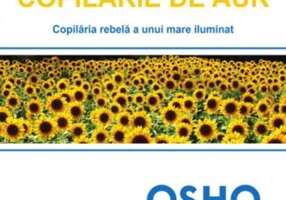 Amintiri dintr-o copilărie de aur