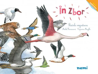 În zbor