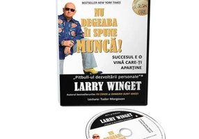 Nu degeaba îi spune MUNCĂ! Succesul e o vină care-ți aparține (Audiobook)