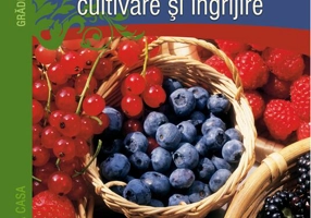 Arbuştii fructiferi - cultivare şi îngrijire