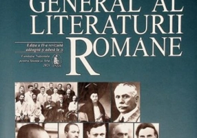 Dicționarul general al literaturii române. T-Z (Vol. VIII)