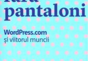 Anul meu fără pantaloni. WordPress.com și viitorul muncii