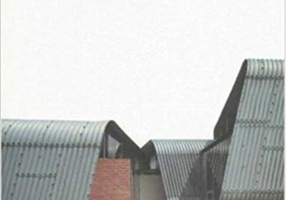 Shuhei Endo: Paramodern Architecture