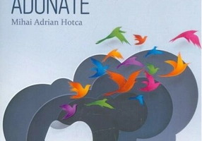 Reflecții și rime din pretoriu adunate