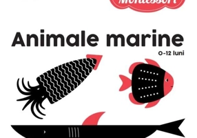 Animale marine
