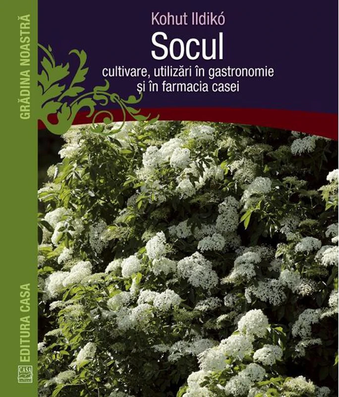 Socul: cultivare, utilizări în gastronomie şi în farmacia casei