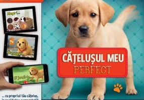 Cățelușul meu perfect