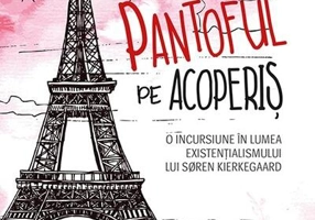 Pantoful pe acoperiș