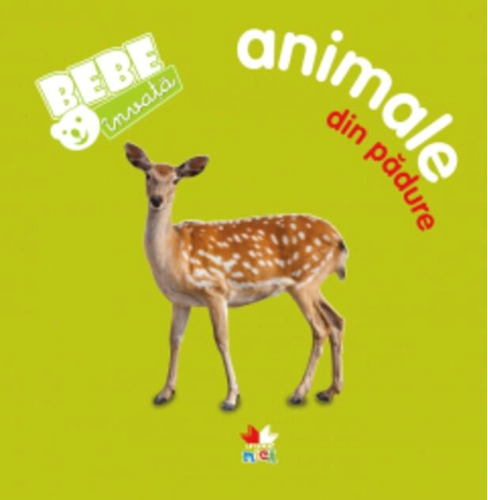 Animale din pădure