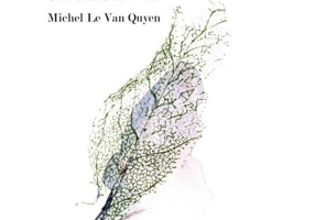 Liniștea și creierul