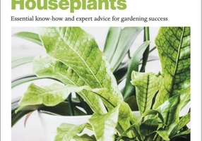 Grow Houseplants. Essential know-how and expert advice for gardening success