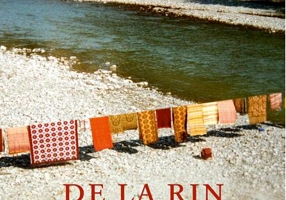 De la Rin la Dunăre și înapoi