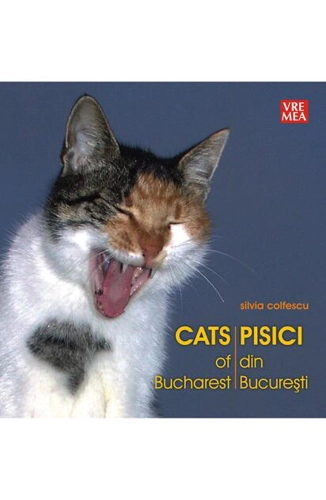 Pisici din București - Cats of Bucharest