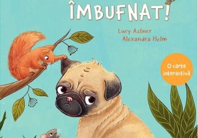 Hai, zâmbește, mopsule îmbufnat!