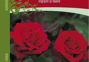 Trandafirii: îngrijire şi tăiere