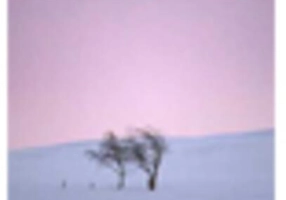 Dragostea în vremea Copilului din Mahlstadt