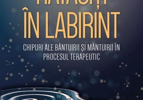 Rătăciți în Labirint