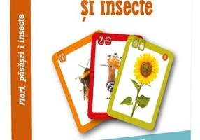 Flori, păsări și insecte. EduFlash