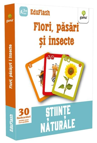 Flori, păsări și insecte. EduFlash