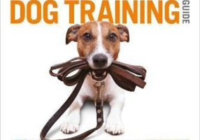 The Beginner's Dog Training Guide: How to Train a Superdog, Step by Step